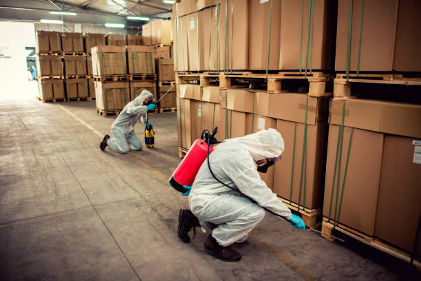 Best Flea Control Services  in Pink, OK