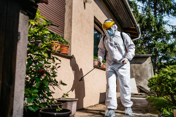 Best Residential Pest Control  in Pink, OK