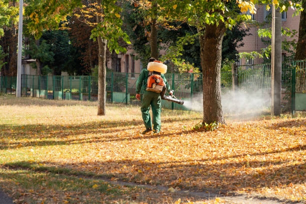 Best Pest Removal Services  in Pink, OK