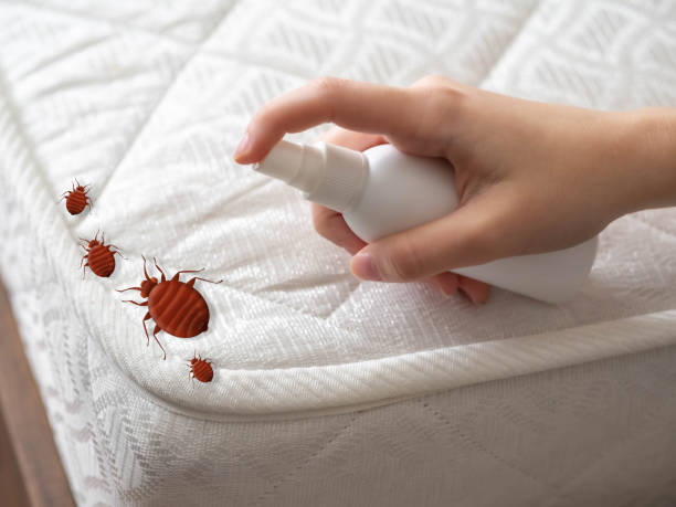 Pest Control for Restaurants in Pink, OK